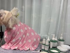 -爱派特动物医院·全科诊疗中心