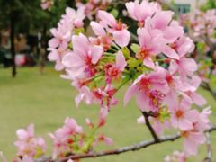 -文华公园(禅城区)