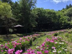 -萨尔浒风景区