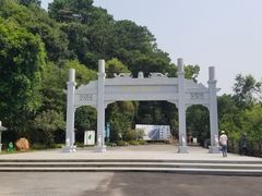 -羚羊峡古栈道森林公园