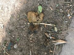 -纳吉亚猫专科动物诊疗中心(蒋宅口分院)