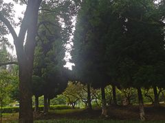 -白塘生态植物园