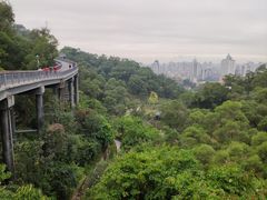 -金鸡山公园