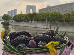 -卷心卷意·轻甜蛋糕(新光天地店)