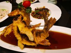 糖醋鲤鱼-城南往事·味道济南菜(金龙大厦店)