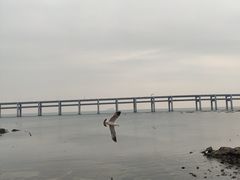 -黑石礁公园