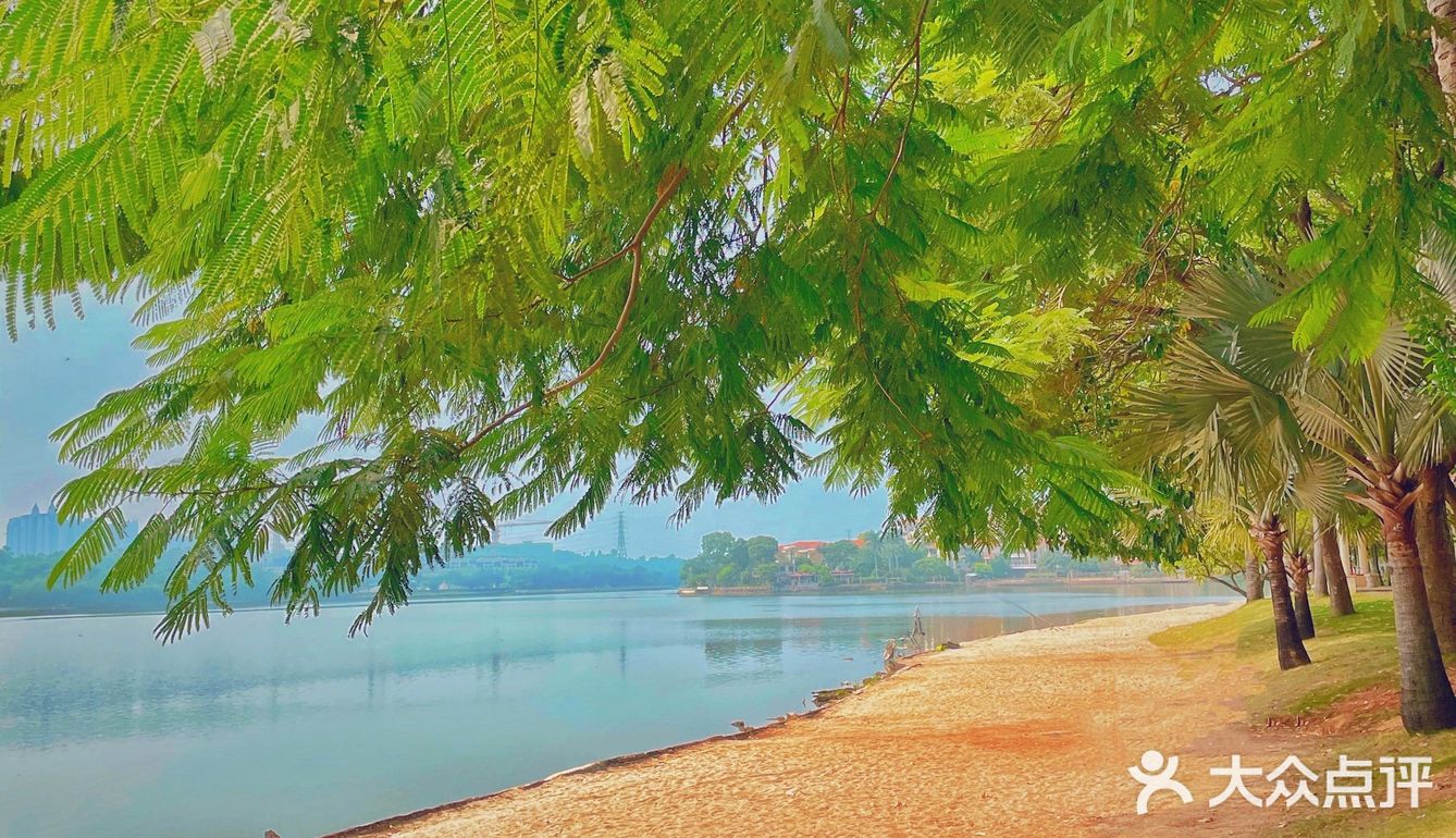 9215不出佛山 独享一片小众沙滩