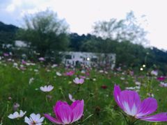 -福州大学(旗山校区)