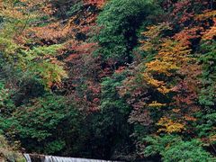 -光雾山旅游景区