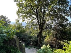 -紫金山山顶公园