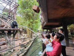 -长鹿旅游休博园