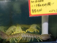 -蚝专家(北滘店)