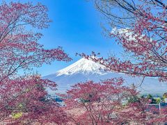 -河口湖车站