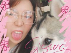 -Husky Go! 哈士奇体验馆·宠物咖啡厅狗咖