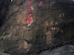 -南山植物园