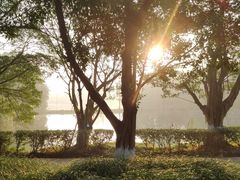 -重庆文理学院(星湖校区)