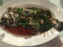 -天鹅到家·保姆月嫂育儿嫂(天河店)