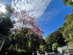 -火炉山森林公园