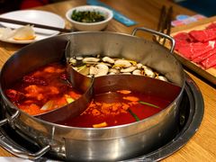-青瓷火锅料理(西单大悦城店)