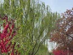 -元大都城垣遗址公园