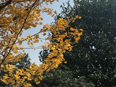 -浙江万里学院(钱湖校区)