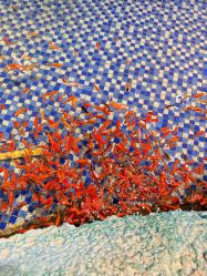 -酷嗒动物文化乐园(cutezoo西溪乐天城店)