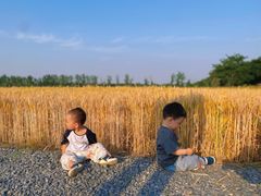 -汉长安城未央宫国家考古遗址公园