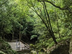 -苍龙峡风景区