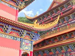 -东莞市大岭山森林公园