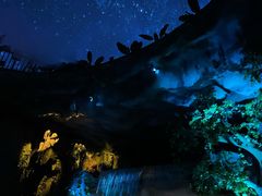 -郑州方特梦幻王国