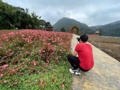 -广州市石门国家森林公园