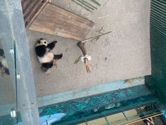 -沈阳森林动物园