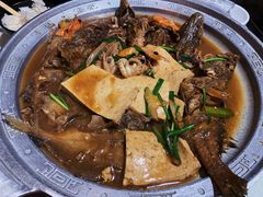 -东来菜馆•手抓海鲜家常菜•海鲜锅贴(鸽子窝店)