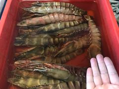 -ZF Seafood Restaurant 卓峰海鲜餐