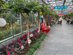 -南宫五洲植物乐园