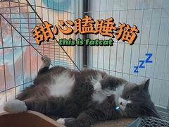 -乐果甜心·潮汕冰室(南澳后宅分店)