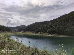 -武陵山森林公园