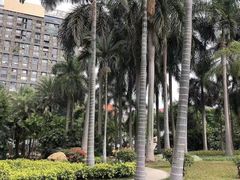 -佛山市三水区大南山森林公园