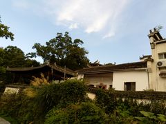 -塔川景区