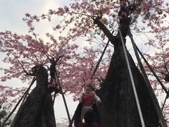 -万顷园艺世界