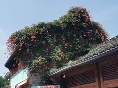 -南塘油赞子(南塘店)