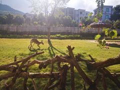 -泉州海丝野生动物世界