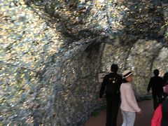 -北海金海湾红树林生态旅游区