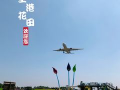 -空港花田景区