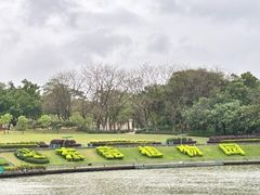 -东莞植物园