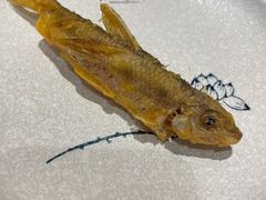 -丹江渔村(望京店)