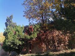 -北京西山国家森林公园