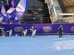 -沈阳奥体冰雪嘉年华