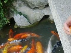 -檀园