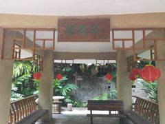 -银湖山郊野公园-相思林